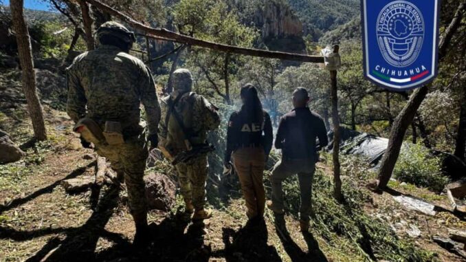aseguran-plantios-de-mariguana-y-campamentos-al-norte-del-municipio-de-chihuahua.jpg Aseguran plantíos de mariguana y campamentos al norte del municipio de Chihuahua