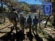 Aseguran plantíos de mariguana y campamentos al norte del municipio de Chihuahua