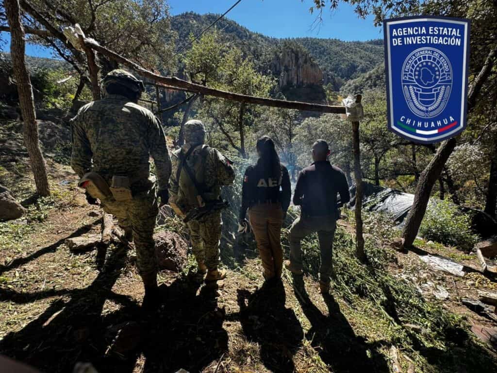 Aseguran plantíos de mariguana y campamentos al norte del municipio de Chihuahua