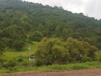 Provocarán frentes fríos 8 y 9 descenso de temperatura en la Sierra Tarahumara