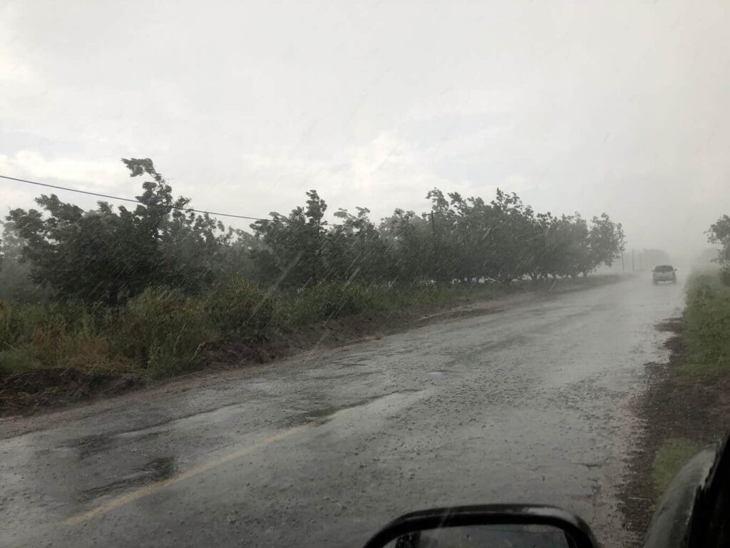 Emiten recomendaciones ante pronóstico de descenso de temperatura, lluvias y vientos fuertes en el estado