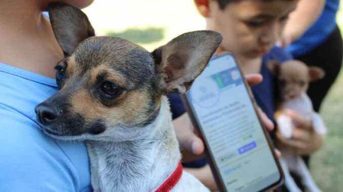 brindara-gobierno-municipal-servicios-gratuitos-para-mascotas-en-punta-oriente.jpeg Brindará Gobierno Municipal servicios gratuitos para mascotas en Punta Oriente