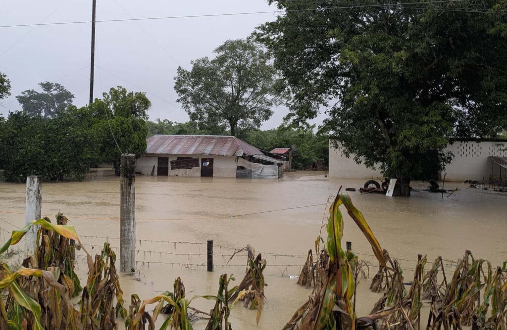 Gobierno estima en 100 mil las viviendas afectadas por lluvias en cinco entidades