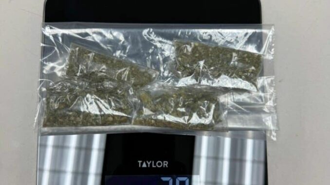 detiene-aei-a-masculino-en-posesion-de-marihuana-y-metanfetaminas-en-la-colonia-jardines-de-roma.jpg Detiene AEI a masculino en posesión de marihuana y metanfetaminas en la colonia Jardines de Roma