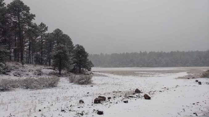 preven-las-primeras-nevadas-del-pais-para-esta-semana-segun-el-smn.jpeg Prevén las primeras nevadas del país para esta semana, según el SMN