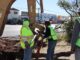 Reubica Municipio árboles en zona de construcción del paso superior Fuerza Aérea y carretera Aldama
