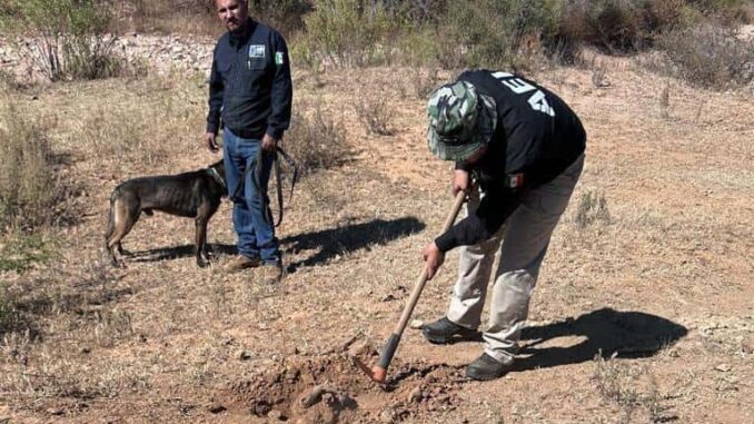 continua-fge-busqueda-de-personas-en-rancho-el-aranjuez.jpg Continúa FGE búsqueda de personas en rancho El Aranjuez