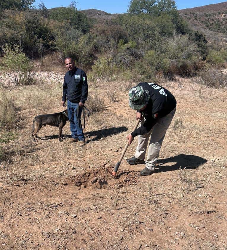 Continúa FGE búsqueda de personas en rancho El Aranjuez