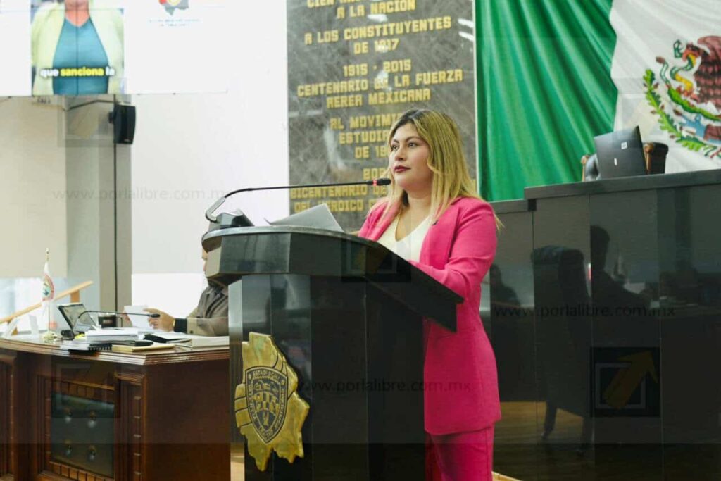 Diputada Irlanda presenta Ley Vicaria