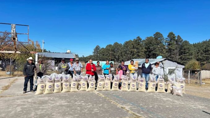 distribuye-gobierno-del-estado-7-2-toneladas-de-apoyo-alimentario-en-balleza.jpeg Distribuye Gobierno del Estado 7.2 toneladas de apoyo alimentario en Balleza