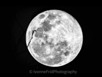 Espectáculo esta noche con una superluna llena que alcanzará su máxima altura sobre el horizonte