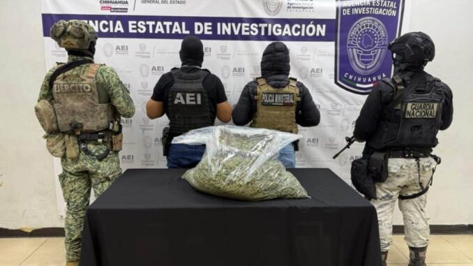 asegura-coe-mas-de-10-kilos-de-marihuana-en-cd-juarez.jpg Asegura COE más de 10 kilos de marihuana en Cd. Juárez