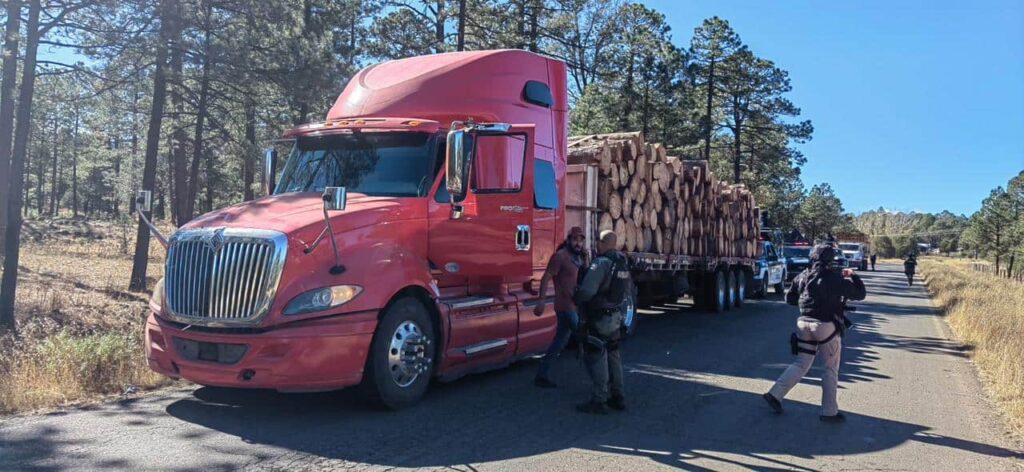 Célula BOII  asegura camión cargado con trozos de madera en carretera de Guachochi