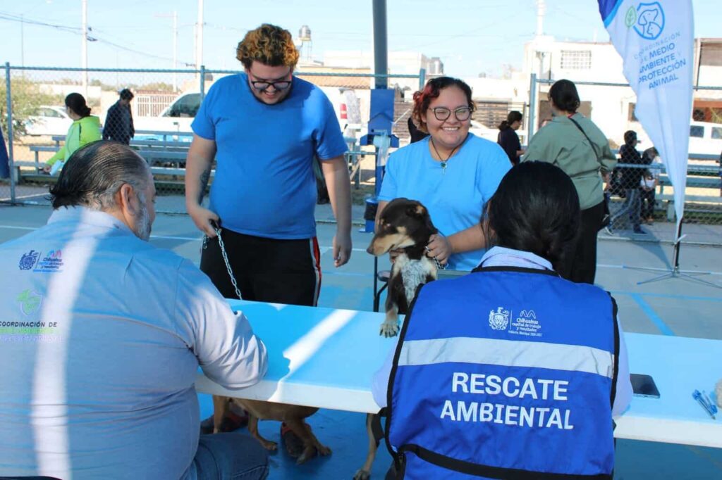 Brinda Municipio servicios gratuitos para animales de compañía en Minerales