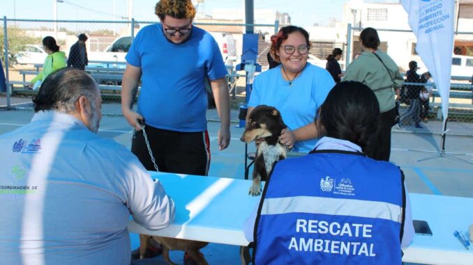 brinda-municipio-servicios-gratuitos-para-animales-de-compania-en-minerales.jpeg Brinda Municipio servicios gratuitos para animales de compañía en Minerales
