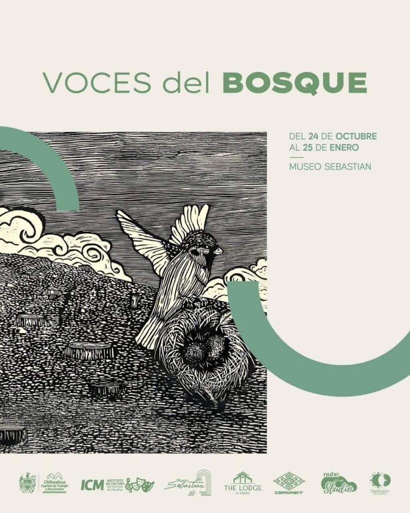 Invitan a visitar la exposición “Voces del Bosque” durante la temporada vacacional en el Museo Sebastián