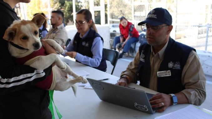 acerca-municipio-servicios-gratuitos-para-animales-de-compania-en-colonia-cerro-de-la-cruz.jpeg Acerca Municipio servicios gratuitos para animales de compañía en colonia Cerro de la Cruz