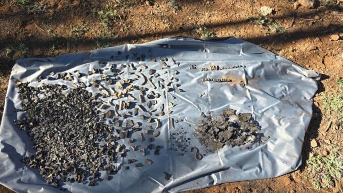 localizan-fragmentos-oseos-y-evidencia-en-rastreo-efectuado-en-madera.jpeg Localizan fragmentos óseos y evidencia en rastreo efectuado en Madera