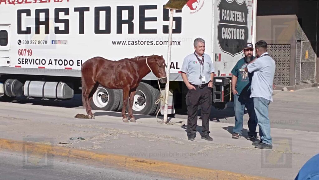 Carreta protagoniza accidente múltiple en la avenida de las Industrias