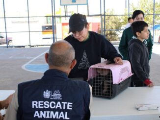 Municipio acercará servicios gratuitos para perros y gatos en colonia Cerro de la Cruz