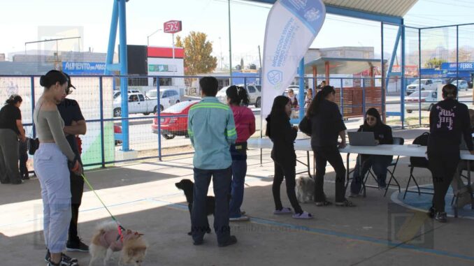 acerca-municipio-servicios-gratuitos-para-animales-de-compania-a-familias-de-riberas-de-sacramento.jpeg Acerca Municipio servicios gratuitos para animales de compañía a familias de Riberas de Sacramento