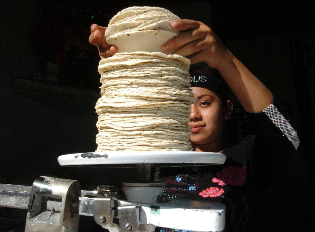 «No hay ninguna razón»: Sheinbaum descarta incremento en el precio de la tortilla