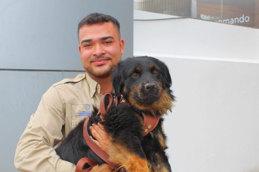 Exhorta Municipio a cuidado de mascotas en Día Nacional del Animal de Compañía