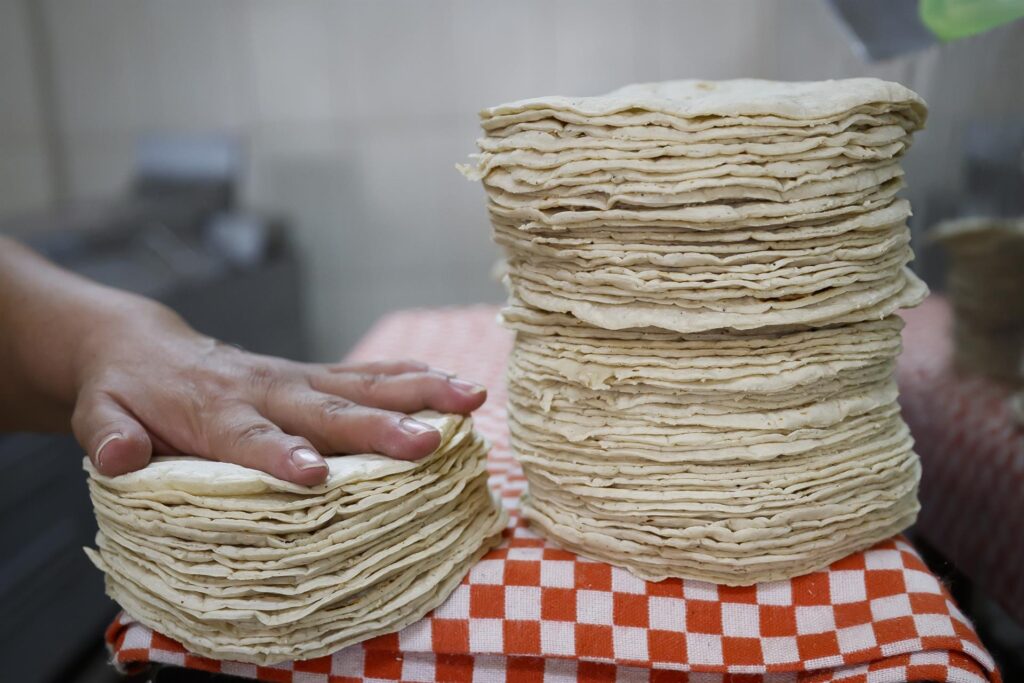 Descartan Agricultura y Profeco alza en precio de la tortilla