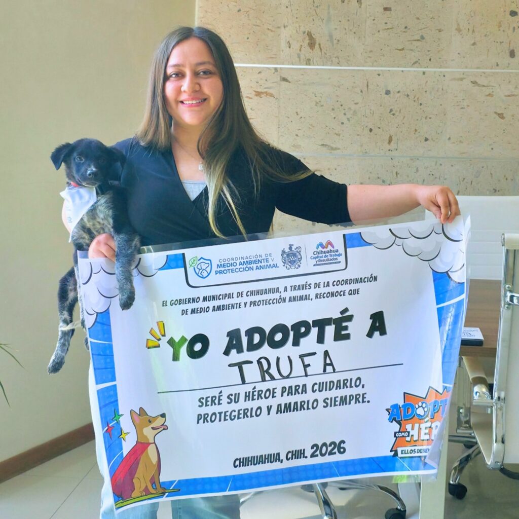 Promueve Municipio adopción de perritos: pueden ser tu compañía y ayuda emocional