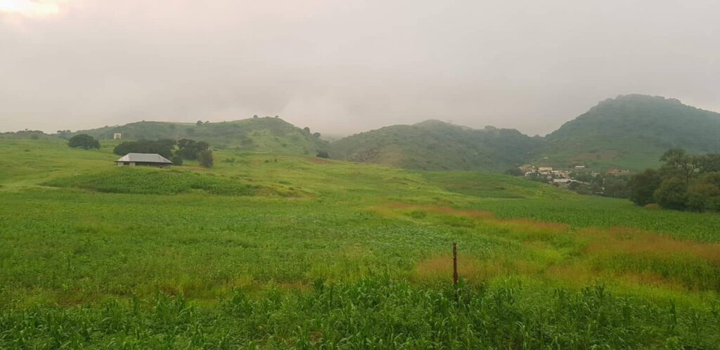 Frente Frío 43 ocasiona lluvia, descenso de temperaturas y viento en el estado