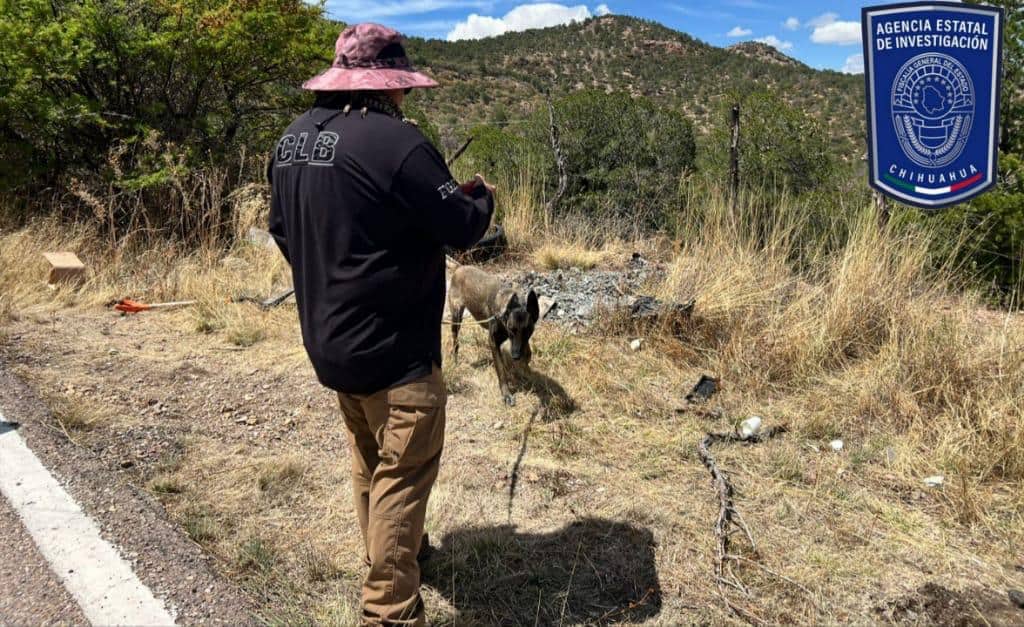 Localizan FDZS, FEDH y CLB restos óseos durante rastreo en carretera Parral- Guadalupe y Calvo