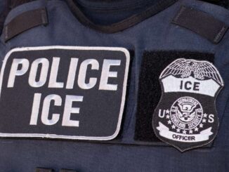 Gobierno llevará a la CIDH las muertes de mexicanos bajo custodia del ICE