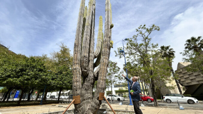 en-espana-intentan-rescatar-un-cactus-gigante-de-mil-500-anos-regalado-por-mexico-1024x731.jpg