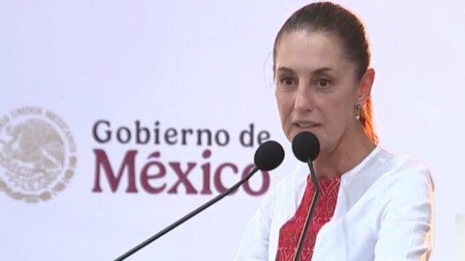 ningun-gobierno-extranjero-puede-entrar-en-nuestro-territorio-sheinbaum-696x429.jpg