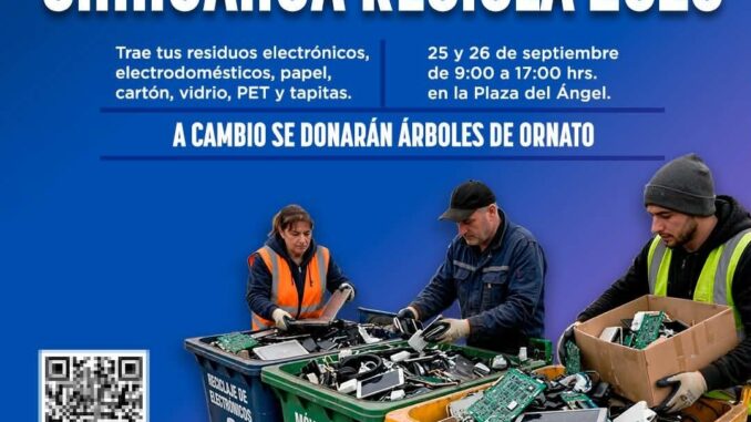 WhatsApp-Image-2026-09-17-at-12.57.54-PM-e1789674772164.jpeg